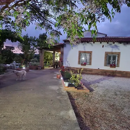 Apartment El Baco
