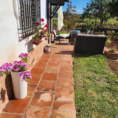 El Baco Apartment