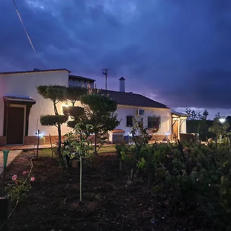 El Baco Apartment